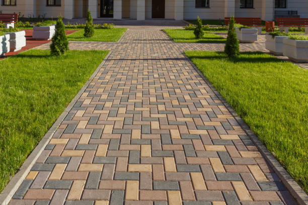 Best Local Driveway Pavers  in Coal City, WV
